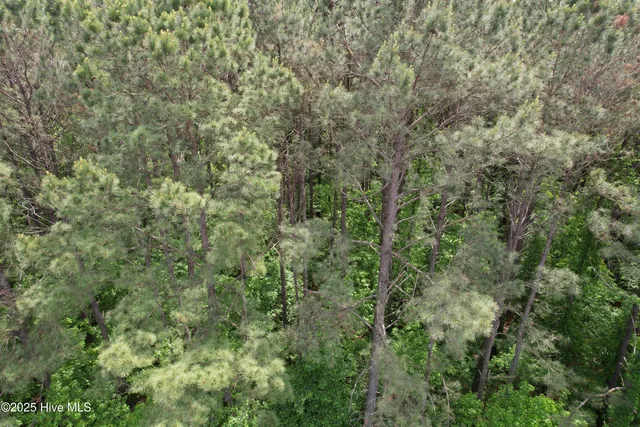 $25,000 | 2692 Pleasant Hope Road, Fairmont, NC 28340