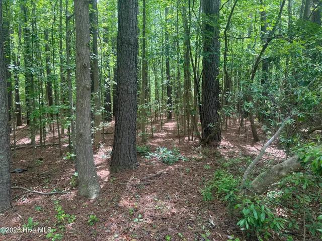 $25,000 | 2692 Pleasant Hope Road, Fairmont, NC 28340