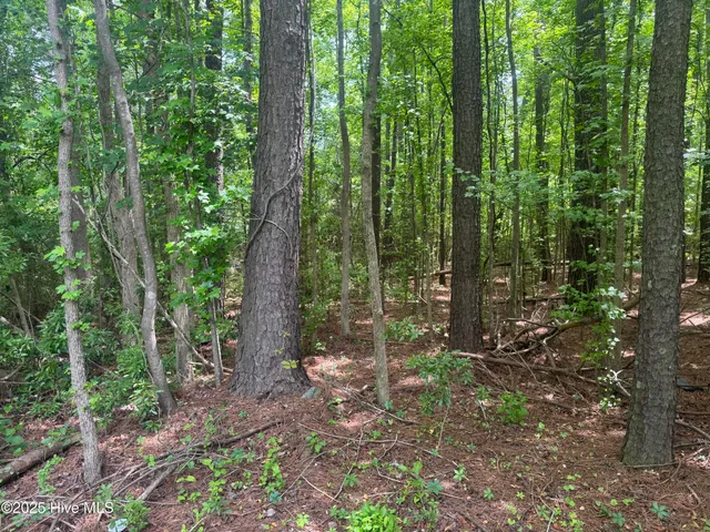 $25,000 | 2692 Pleasant Hope Road, Fairmont, NC 28340