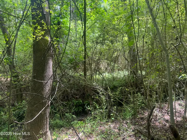 $25,000 | 2692 Pleasant Hope Road, Fairmont, NC 28340