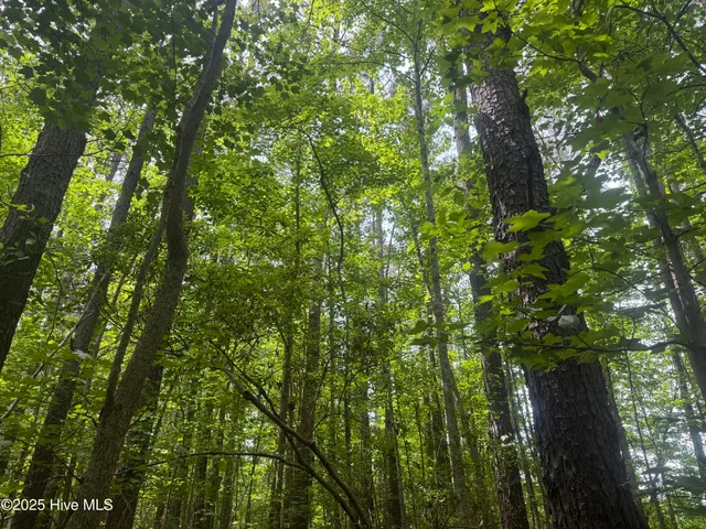 $25,000 | 2692 Pleasant Hope Road, Fairmont, NC 28340