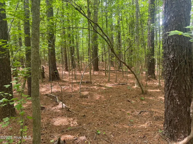 $25,000 | 2692 Pleasant Hope Road, Fairmont, NC 28340