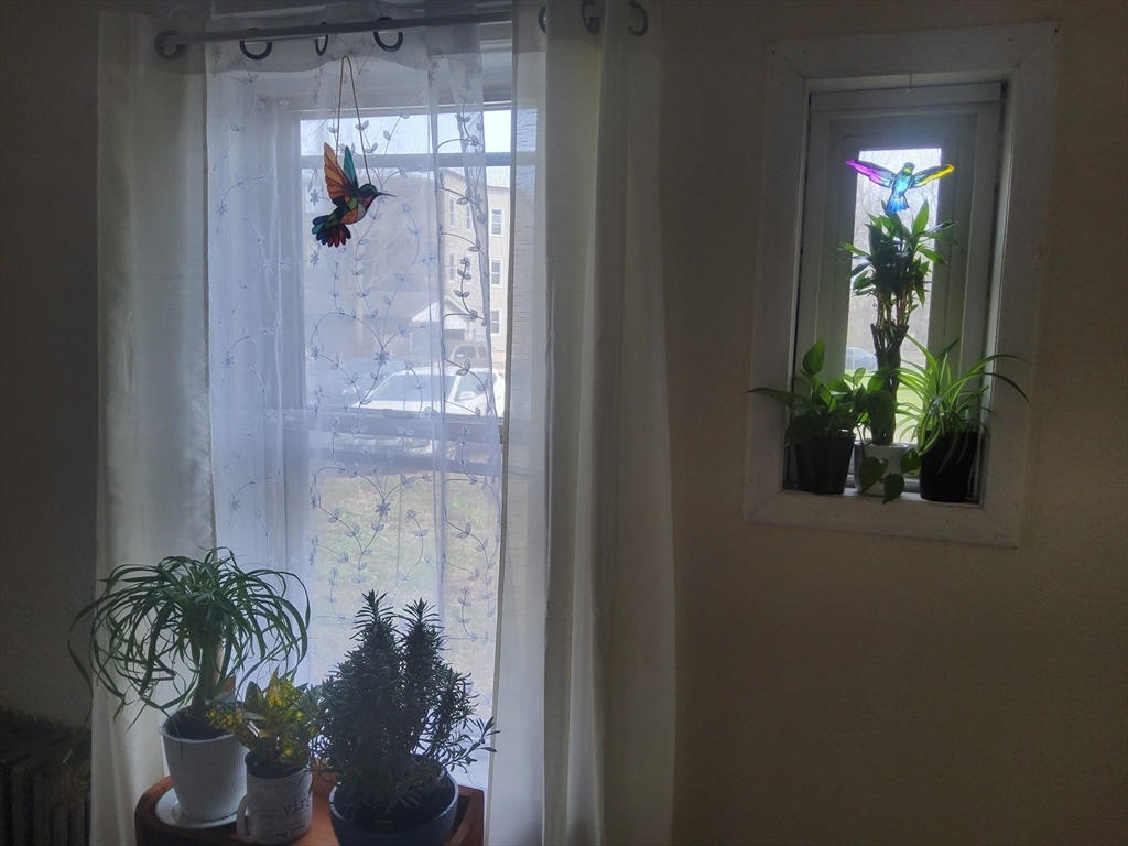 20 Greene Place Springfield, MA 01109 - Photo 7 of 13