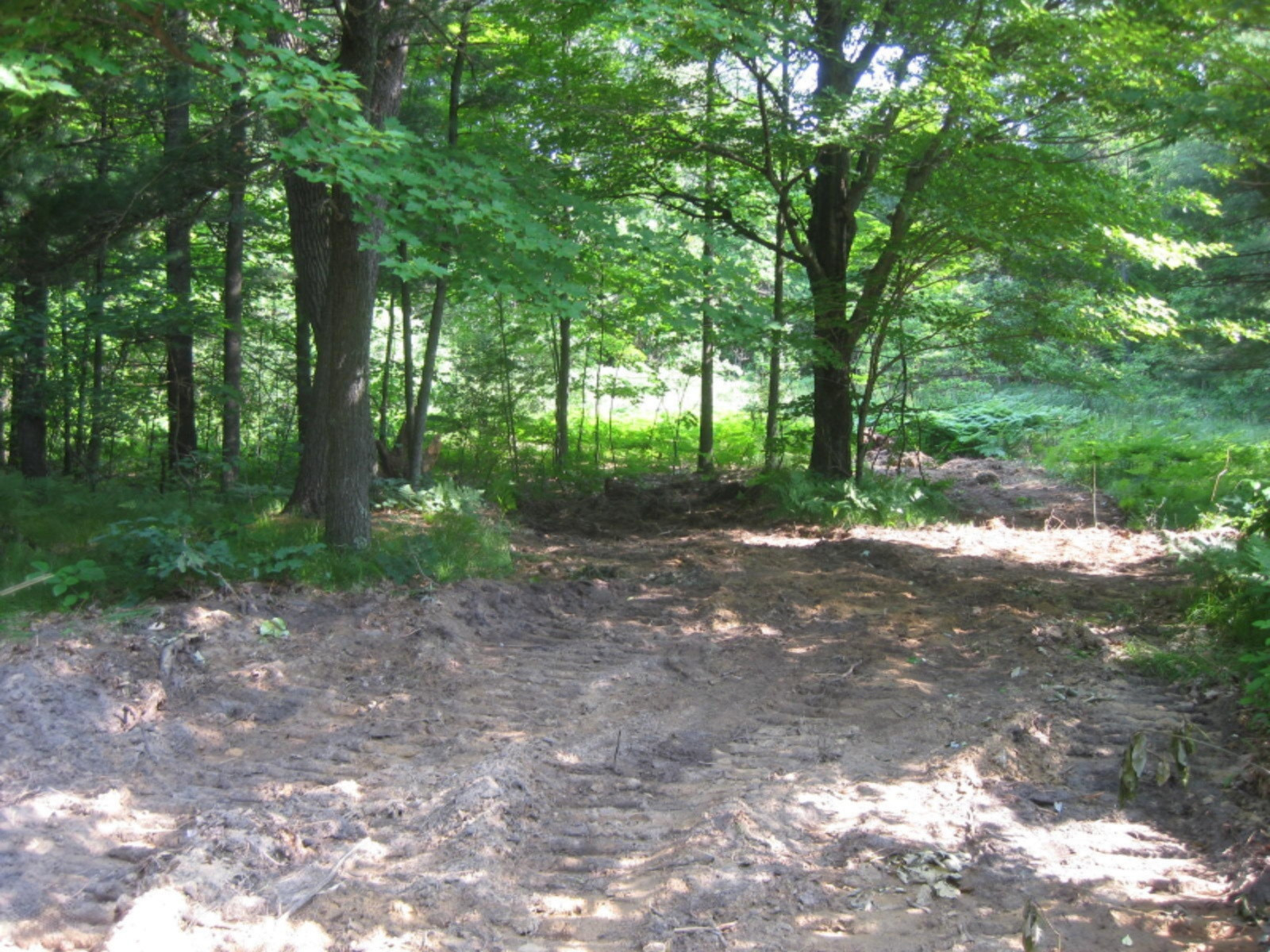 Dame Road Whitehall, MI 49461 - Photo 10 of 12 2015-07-02 09.33.50