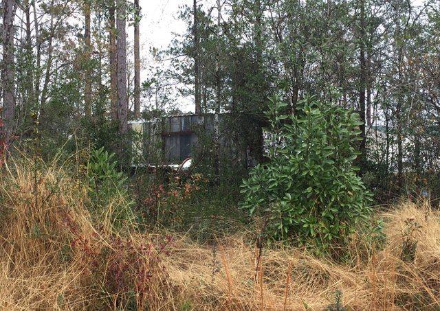 7740 Red Barrow Road Baker, FL 32531 - Photo 3 of 10 a view of a garden