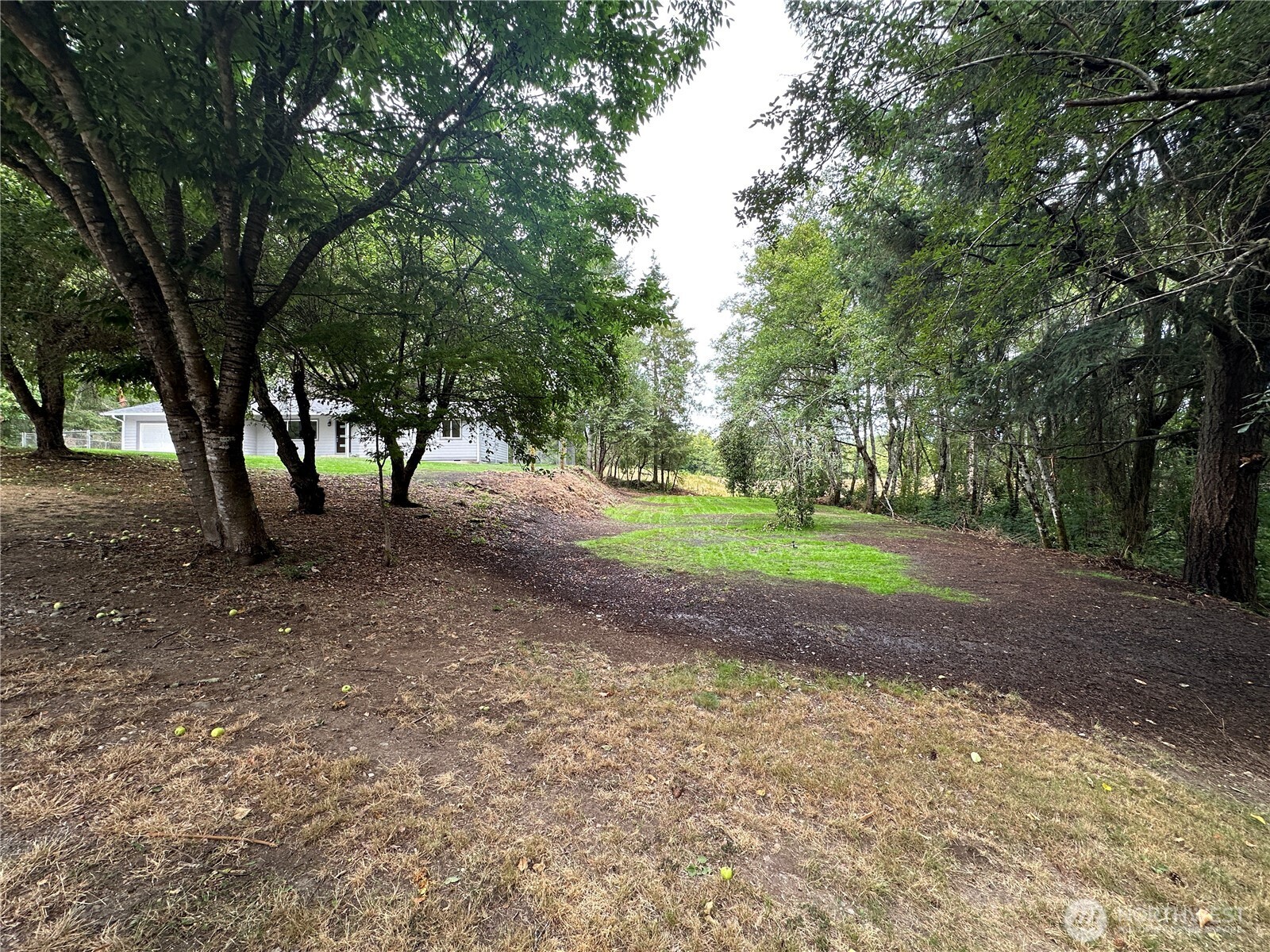 7044 Johnson Point Road Northeast Olympia, WA 98516 - Photo 32 of 36 a view of dirt yard with a trees