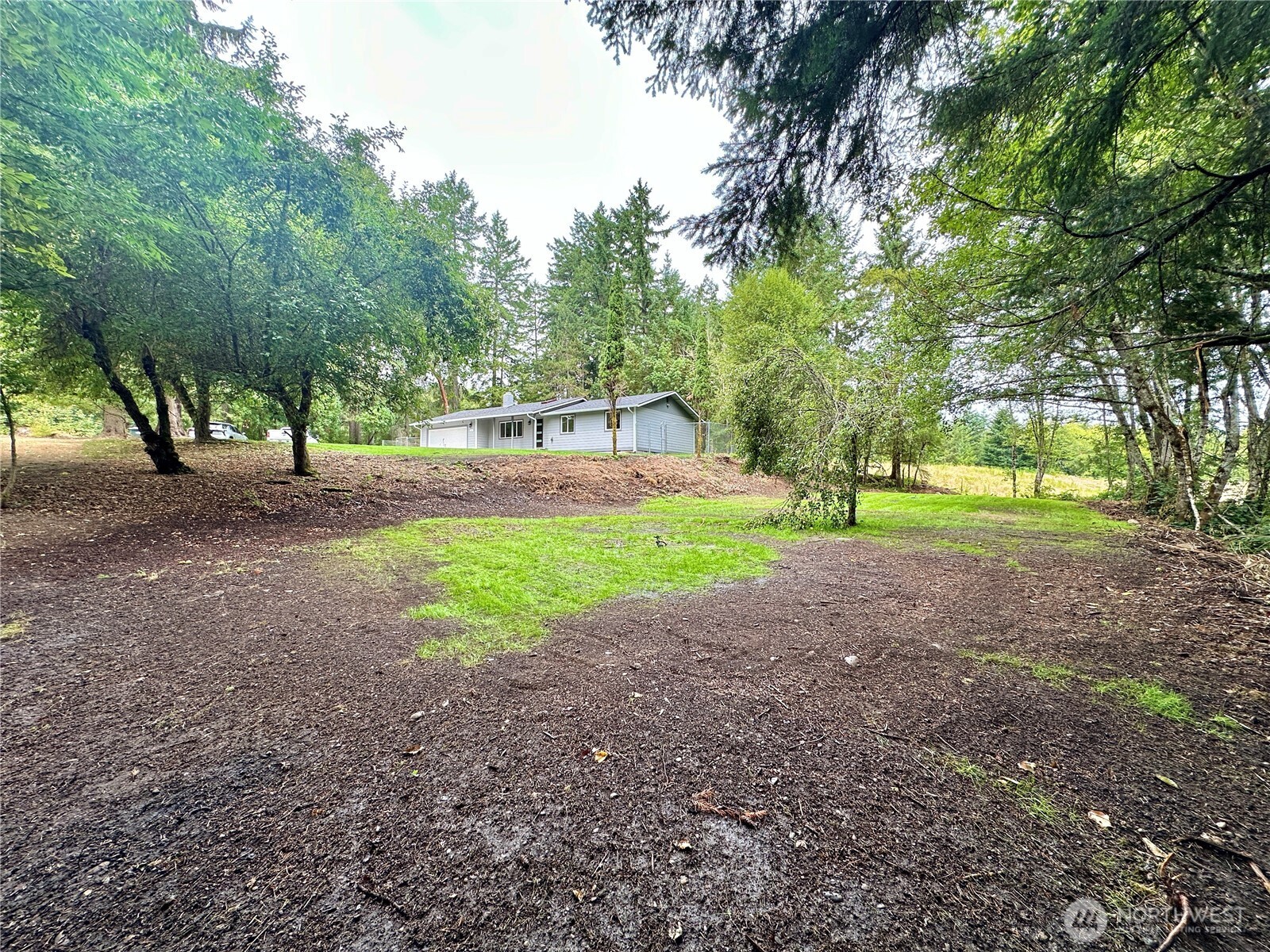 7044 Johnson Point Road Northeast Olympia, WA 98516 - Photo 33 of 36 a view of a yard with of trees