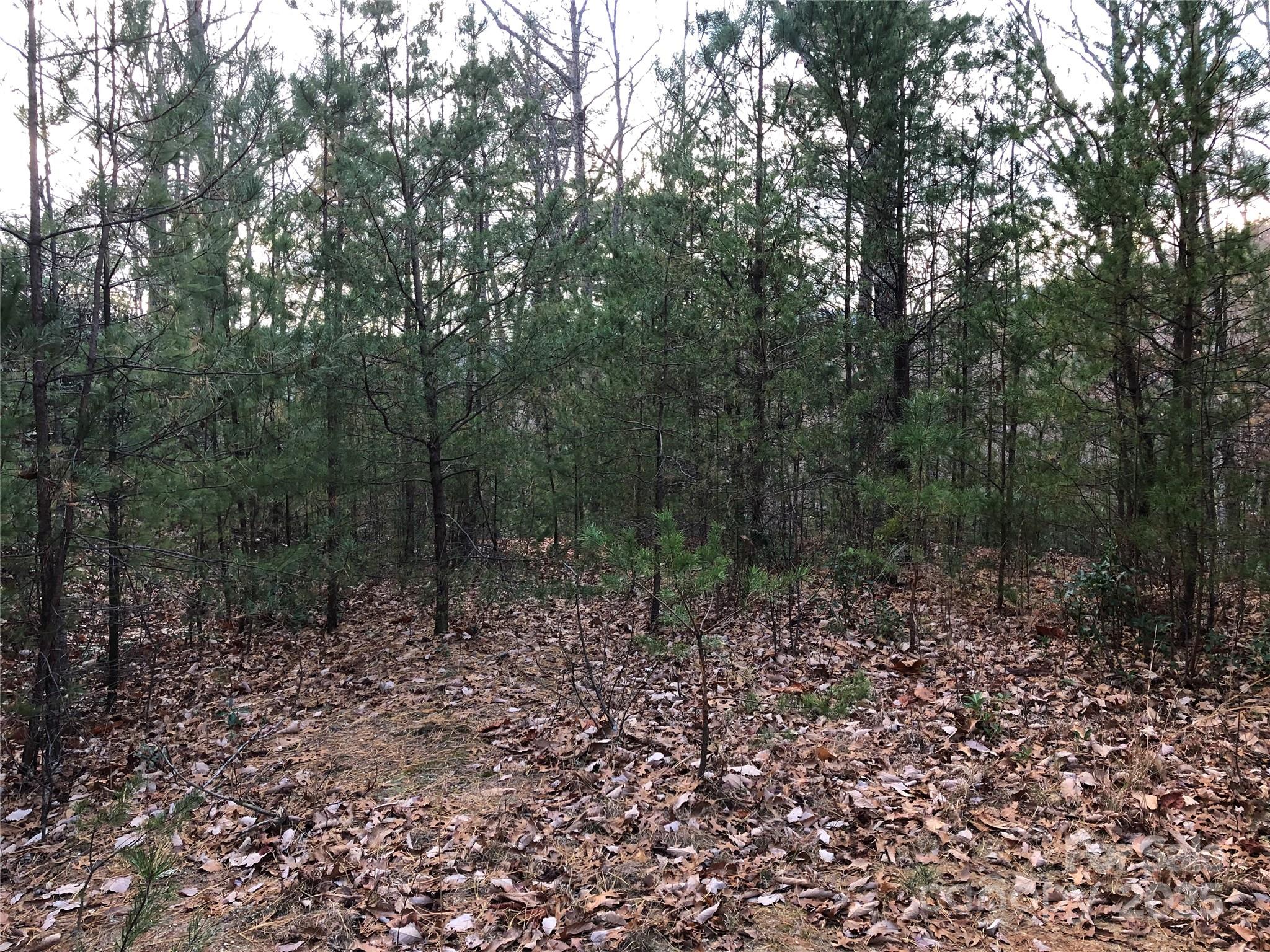 Tbd Casey Mountain Road, Unit 222B Purlear, NC 28665 - Photo 12 of 43 Gallery Image 12
