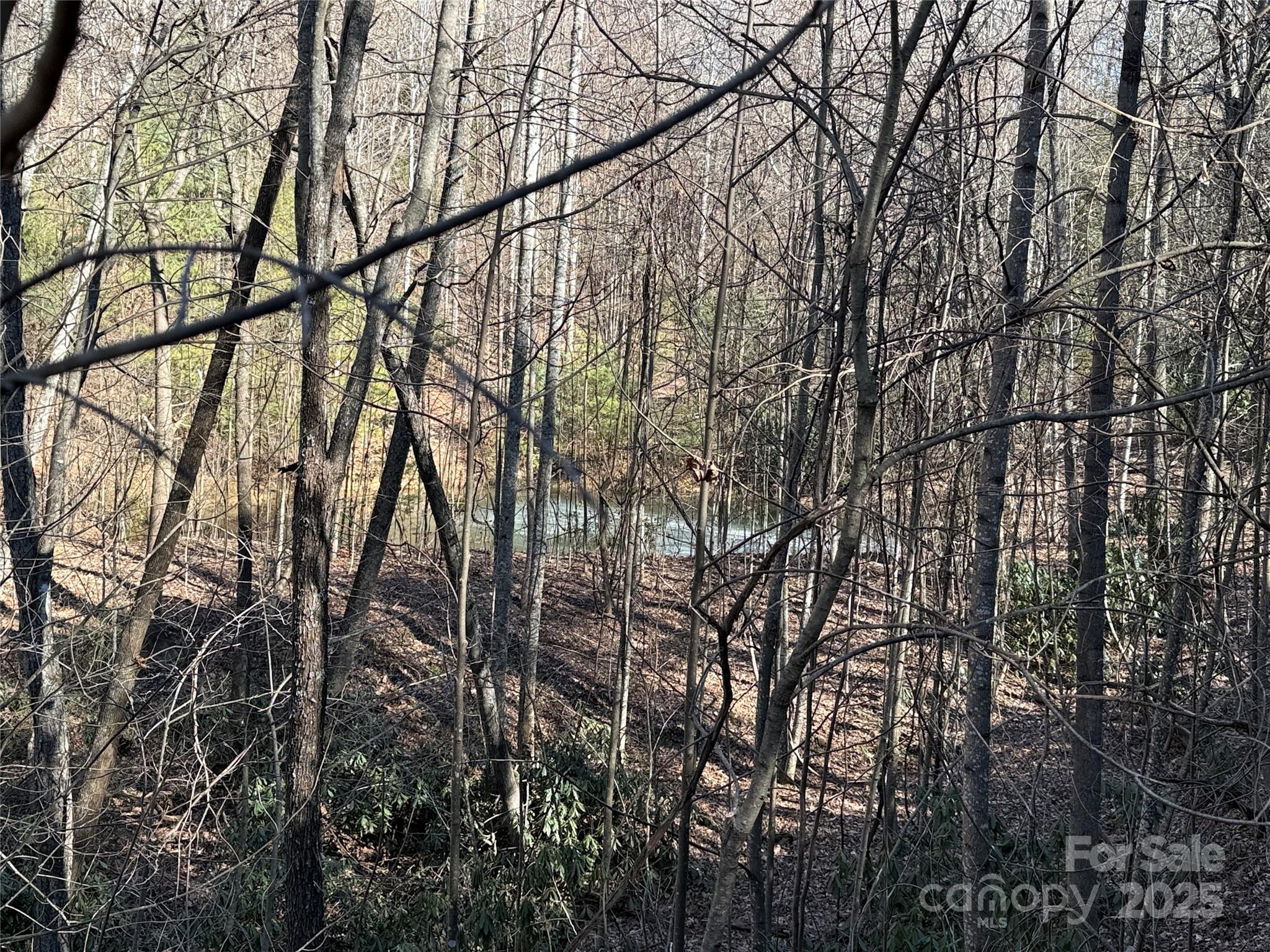 Tbd Casey Mountain Road, Unit 222B Purlear, NC 28665 - Photo 20 of 43 Gallery Image 20
