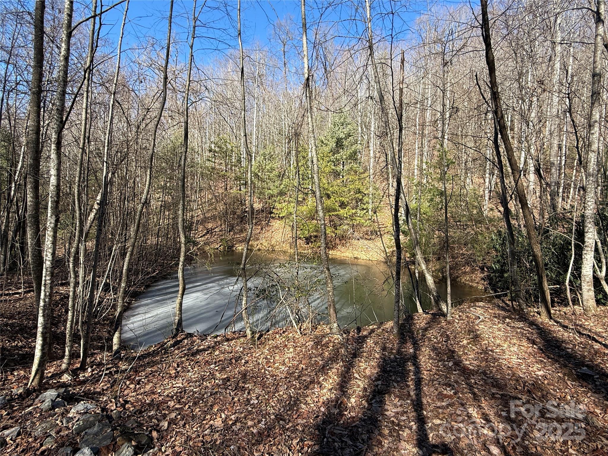 Tbd Casey Mountain Road, Unit 222B Purlear, NC 28665 - Photo 21 of 43 Gallery Image 21
