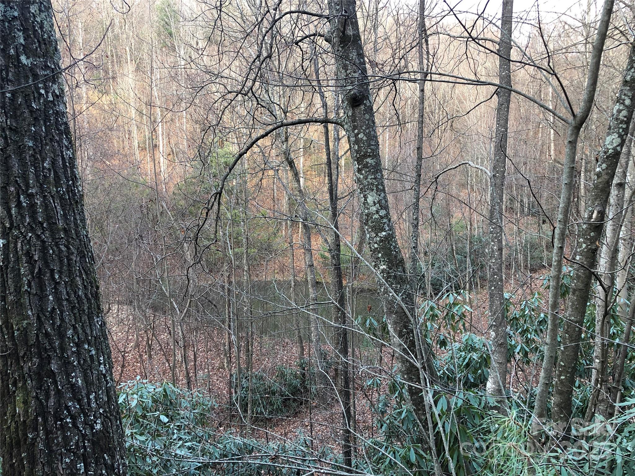 Tbd Casey Mountain Road, Unit 222B Purlear, NC 28665 - Photo 9 of 43 Gallery Image 9