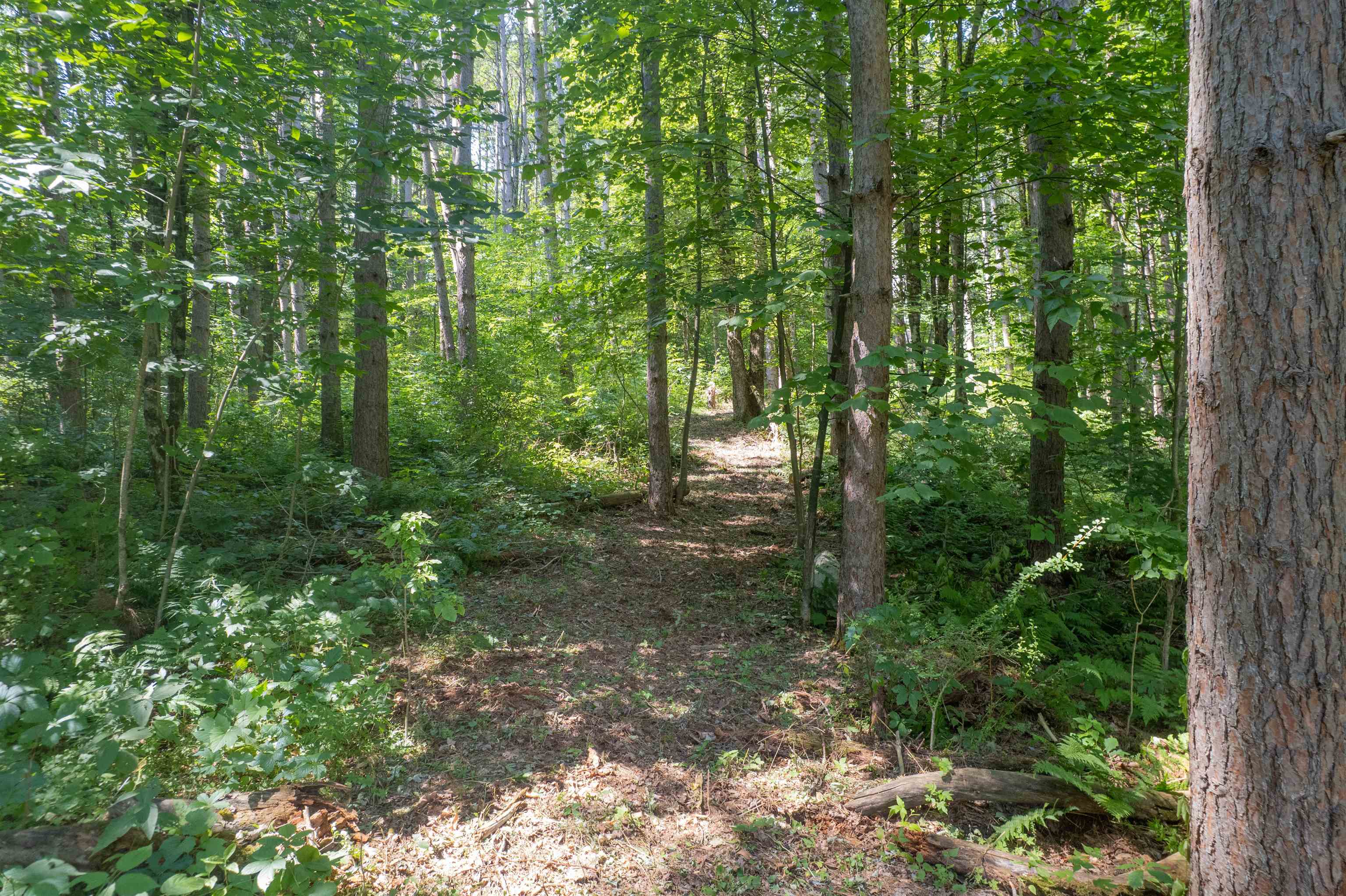 83 Pencil Mill Road Castleton, VT 05735 - Photo 43 of 45 Gallery Image 43