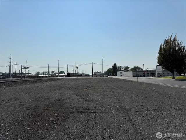 a view of a ocean with large trees