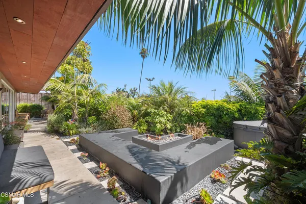 a view of a backyard with plants