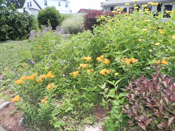 10 Wilmont Road Framingham, MA 01701 - Photo 21 of 22 Gallery Image 21