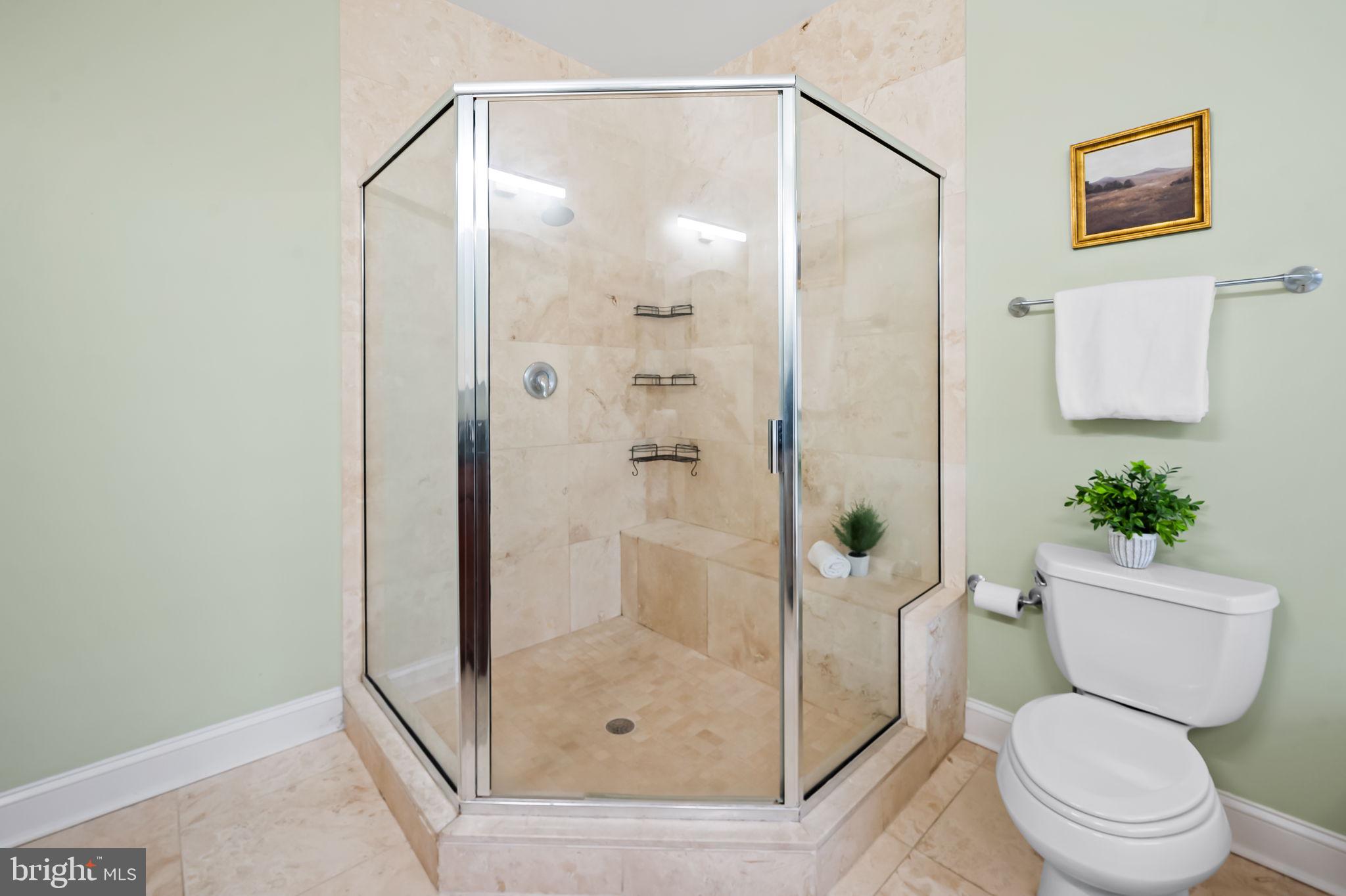 1024 Pier Pointe Landing, Unit 107 Baltimore, MD 21230 - Photo 24 of 51 a bathroom with a shower and a toilet