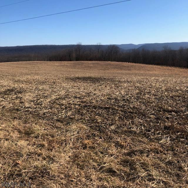 Off Orchard Hollow Road Manns Choice, PA 15550 - Photo 6 of 10 Gallery Image 6