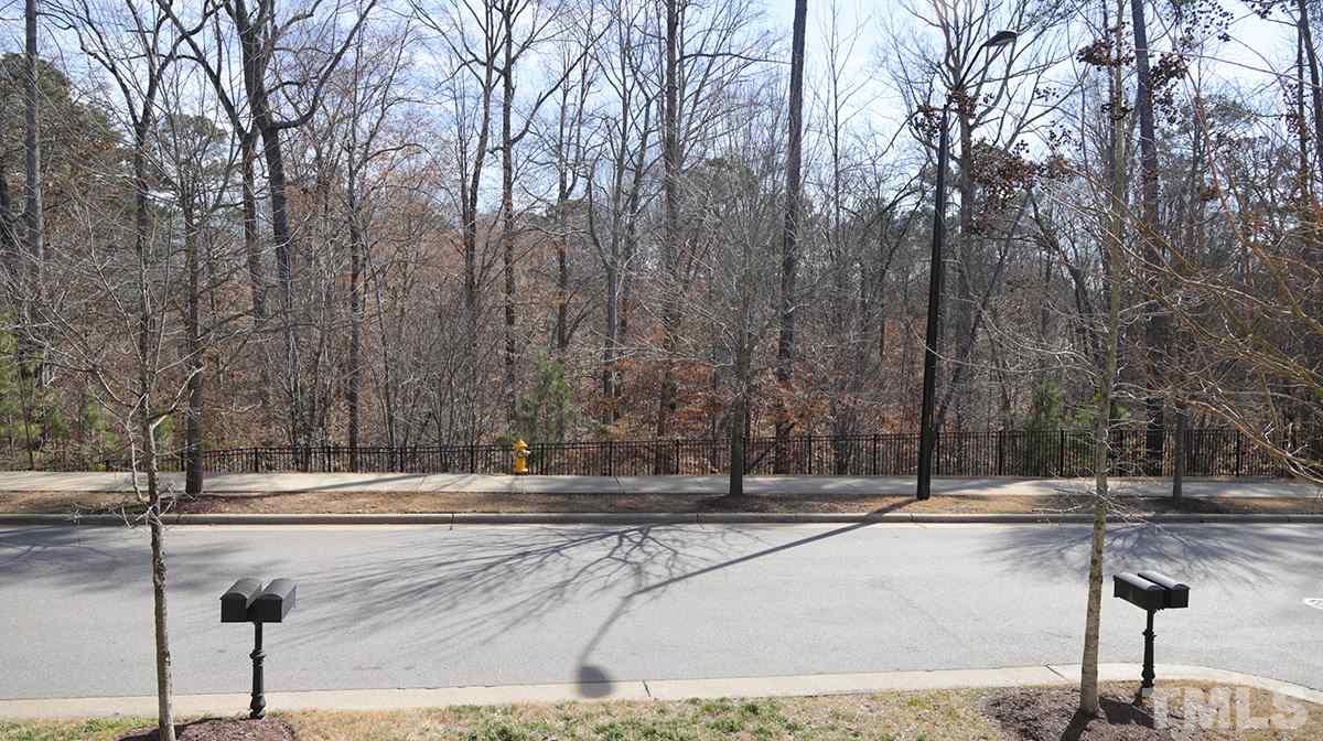 1541 Fullerton Place Raleigh, NC 27607 - Photo 29 of 29 a view of a yard