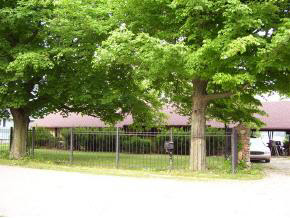 2530 Wolfs Point Drive Rochester, IN 46975 - Photo 1 of 1