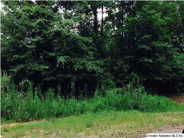 2615 6 Foot Road Ohatchee, AL 36271 - Photo 17 of 22