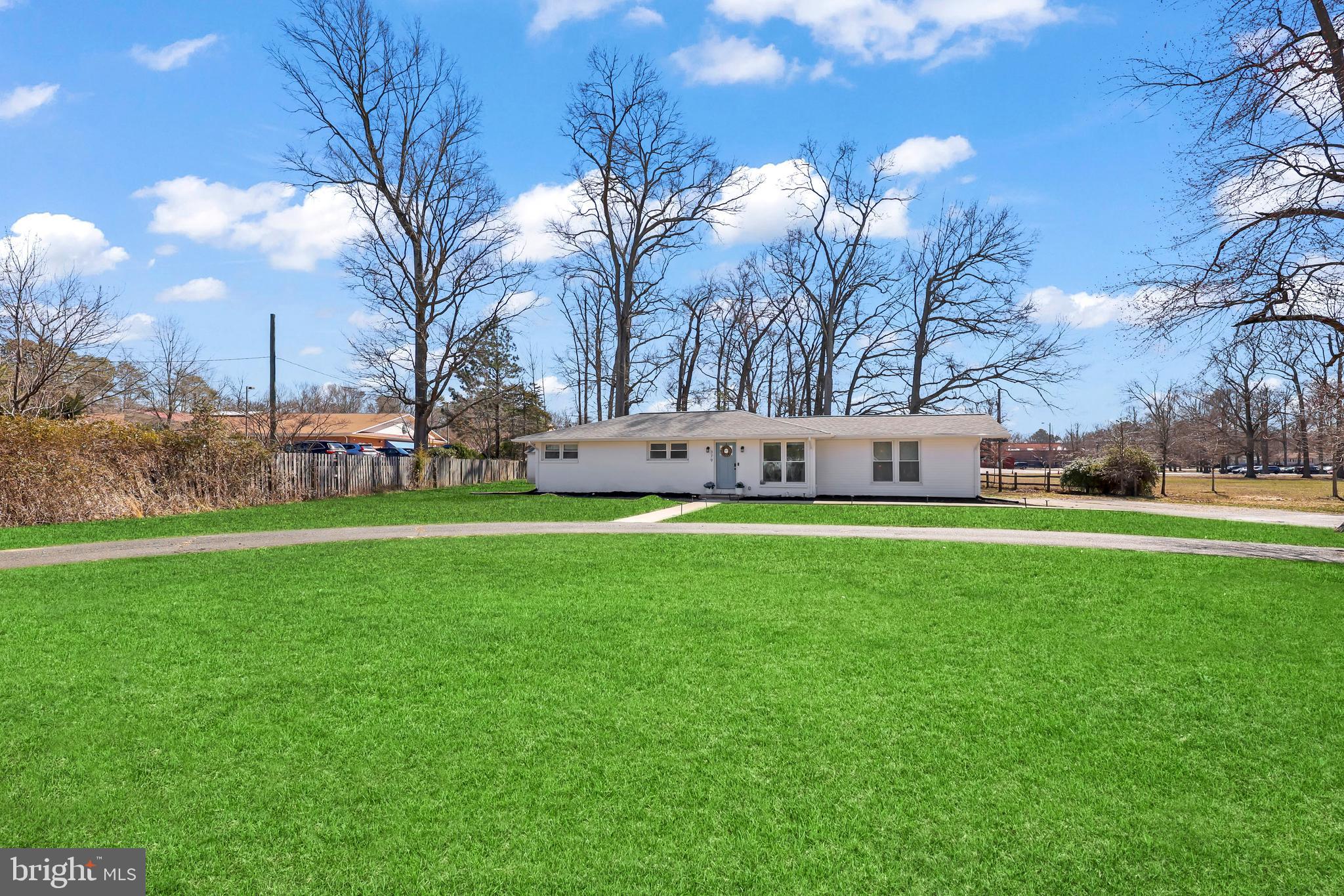 379 Ferry Road Fredericksburg, VA 22405 - Photo 32 of 33 a view of yard with tree s