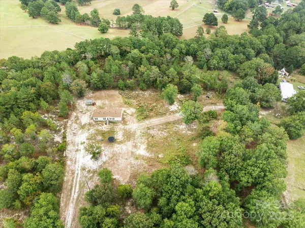 a view of a yard with plants