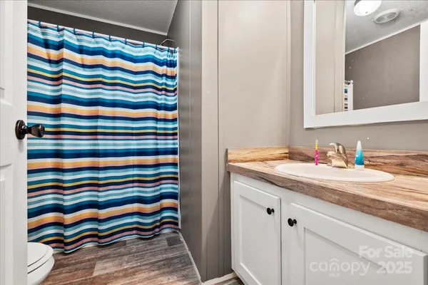 a bathroom with a sink a vanity and a shower curtain