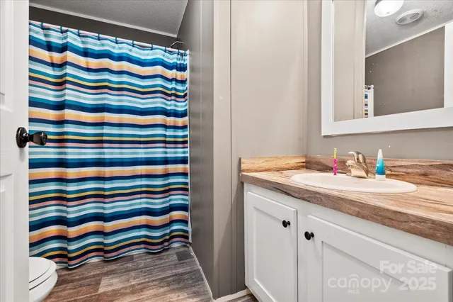 a bathroom with a sink a vanity and a shower curtain