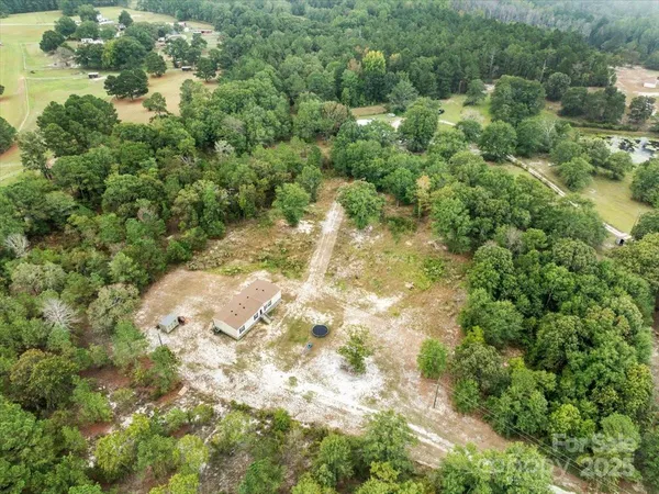 a view of a yard with plants and large trees