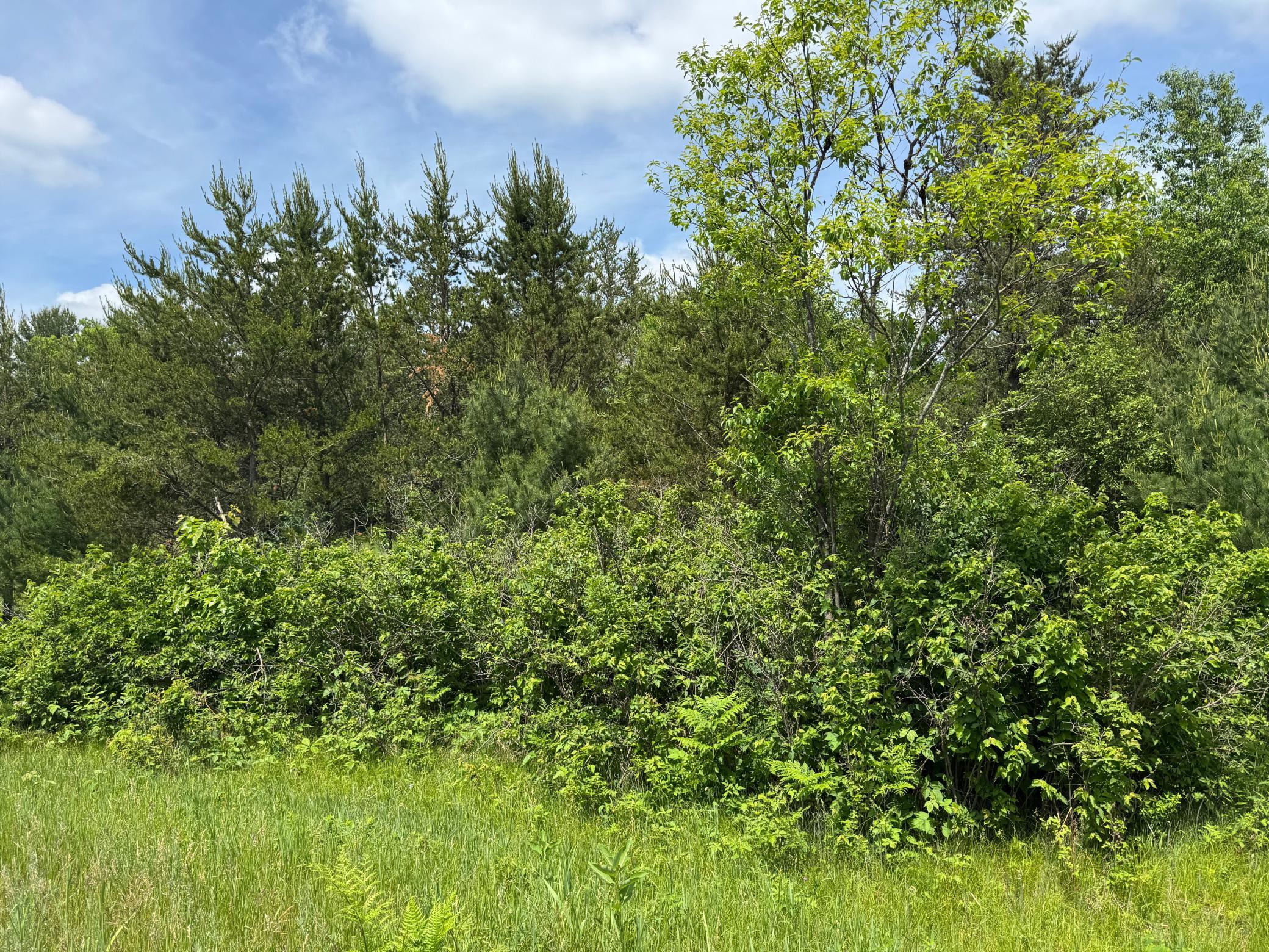 6398 Fred Tripp Road Springbrook, WI 54875 - Photo 12 of 30