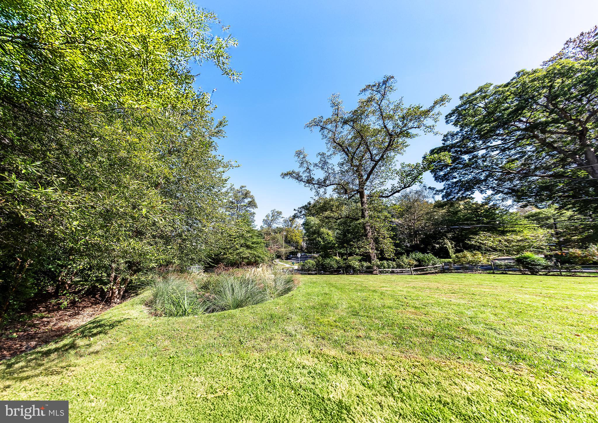 7221 Ridgewood Terrace Chevy Chase, MD 20815 - Photo 76 of 76 Open Green Space on a 27,000 sq.ft. lot!