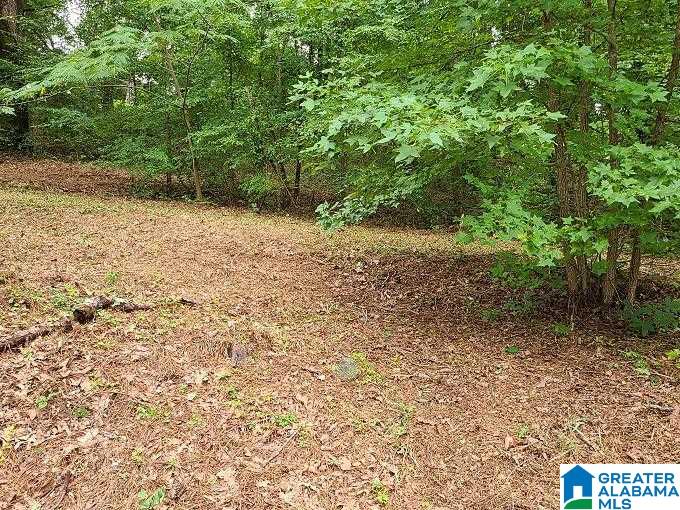 333 Ward Road Gardendale, AL 35071 - Photo 7 of 27