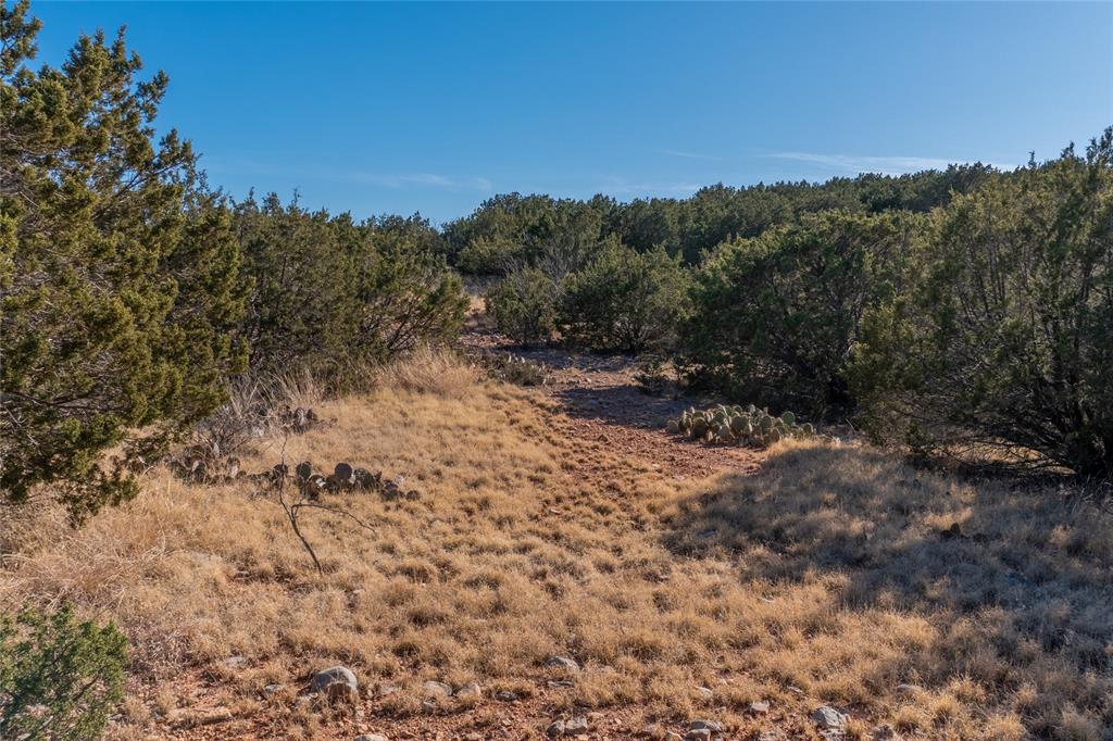 T2 County Road 175 Winters, TX 79567 - Photo 6 of 14
