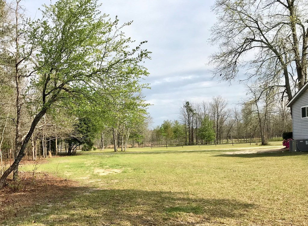 305 Beck Road Williston, SC 29853 - Photo 12 of 31