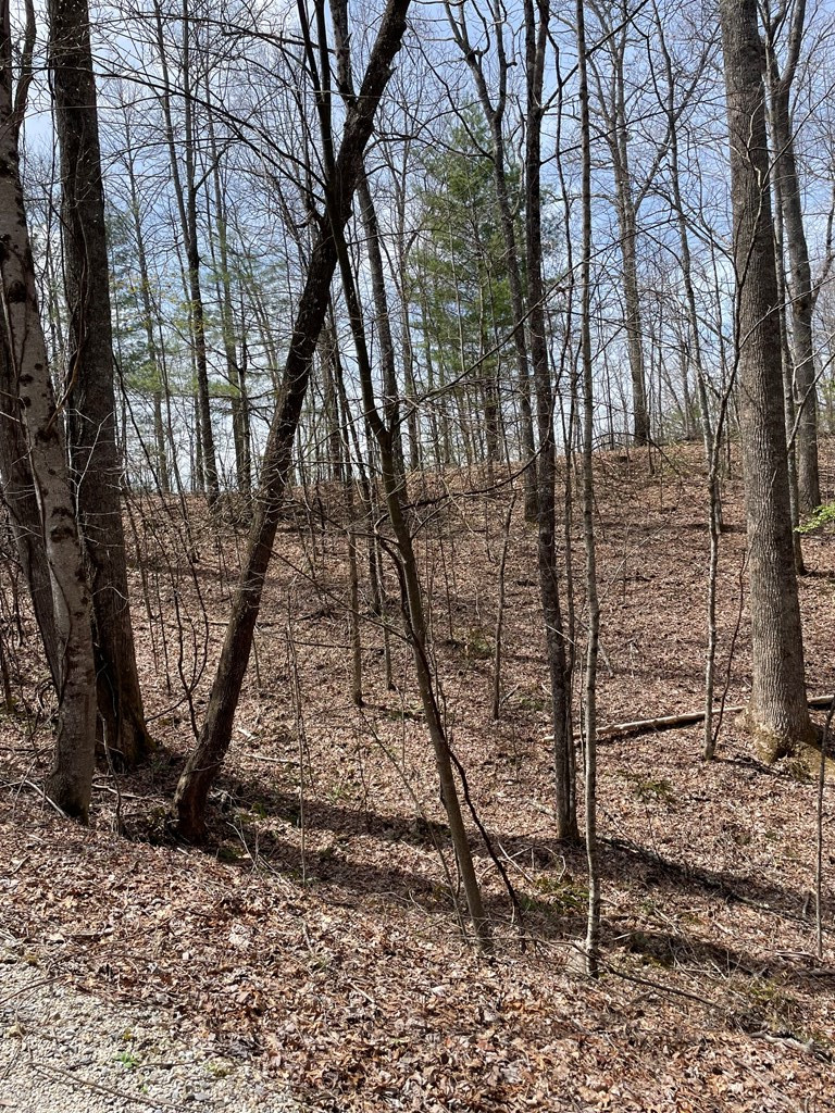0 Hidden Lakes Road Topton, NC 28781 - Photo 4 of 14