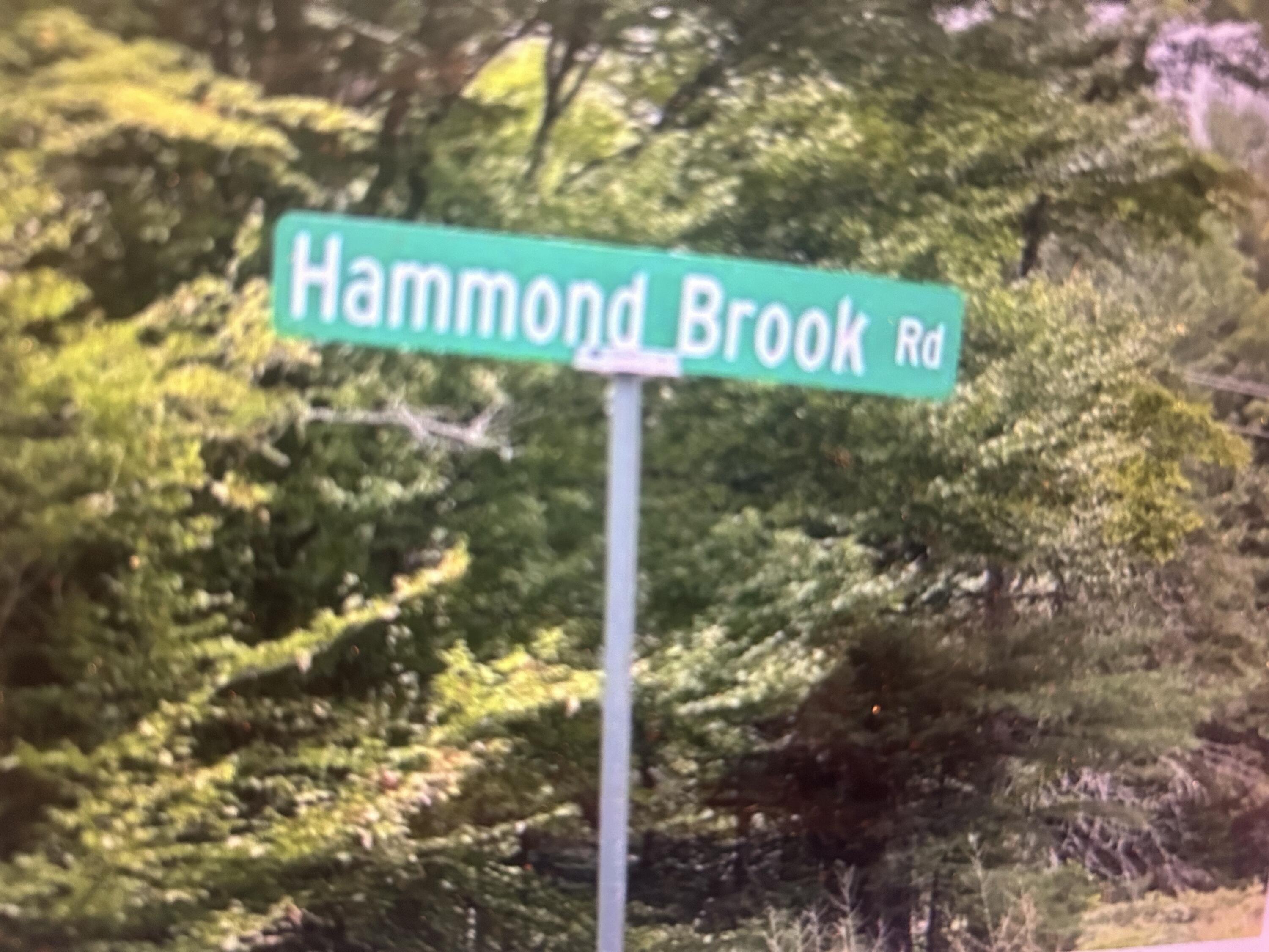 Lot #8 Hammond Brook Road, Unit 8 Monson, ME 04464 - Photo 1 of 6 Street Sign
