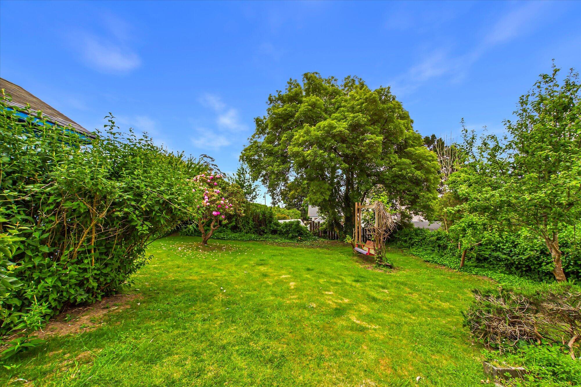 1255 16th Street Arcata, CA 95521 - Photo 52 of 55