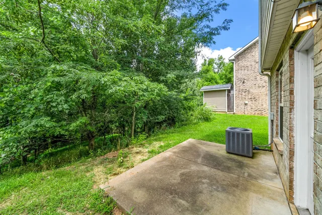 a view of a garden with potted plants