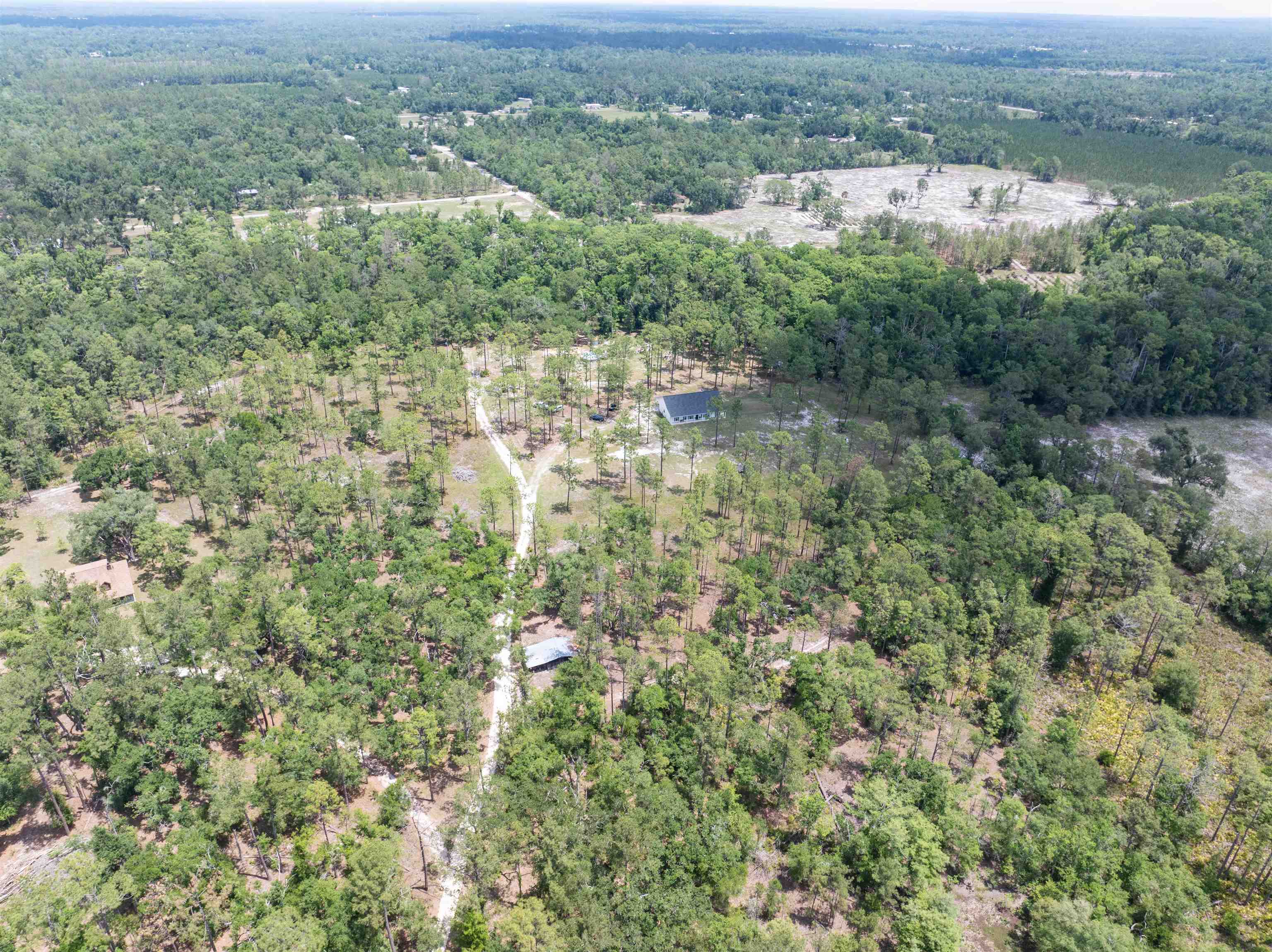 2878 West U.S 98 Perry, FL 32347 - Photo 43 of 64