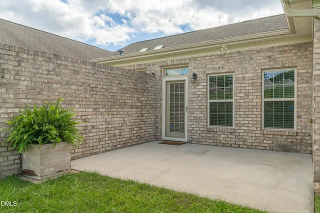 a view of a backyard with plants