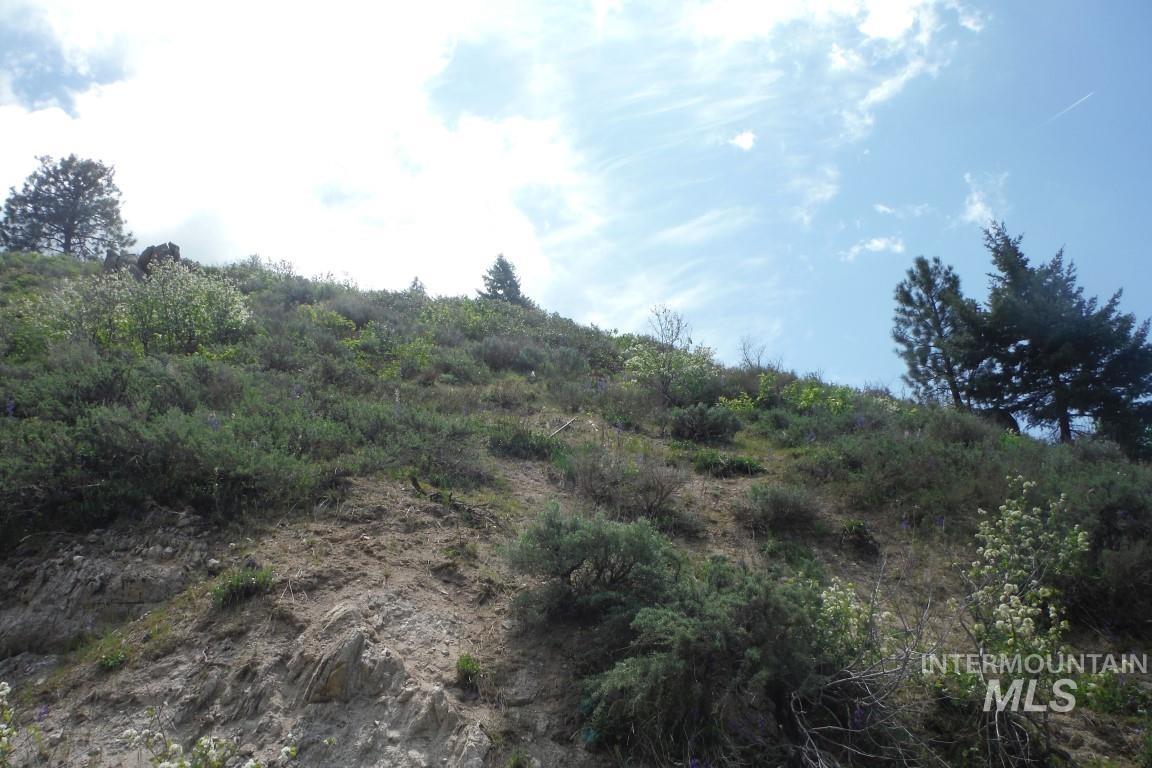 Tbd Boise Ridge Road Boise, ID 83712 - Photo 12 of 17 View of nature
