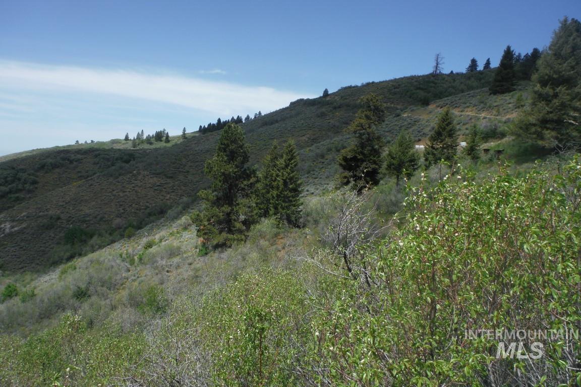 Tbd Boise Ridge Road Boise, ID 83712 - Photo 13 of 17 View of mountain backdrop