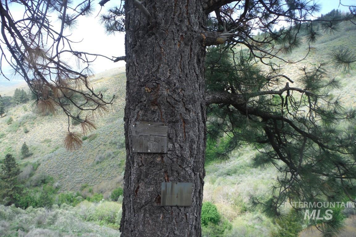 Tbd Boise Ridge Road Boise, ID 83712 - Photo 16 of 17 View of undeveloped land