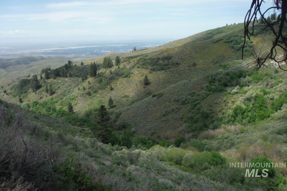 Tbd Boise Ridge Road Boise, ID 83712 - Photo 6 of 17 View of mountain background
