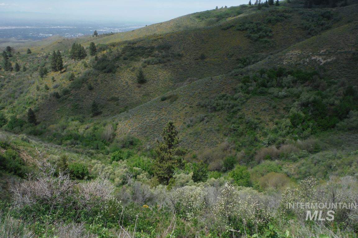 Tbd Boise Ridge Road Boise, ID 83712 - Photo 7 of 17 Mountain view