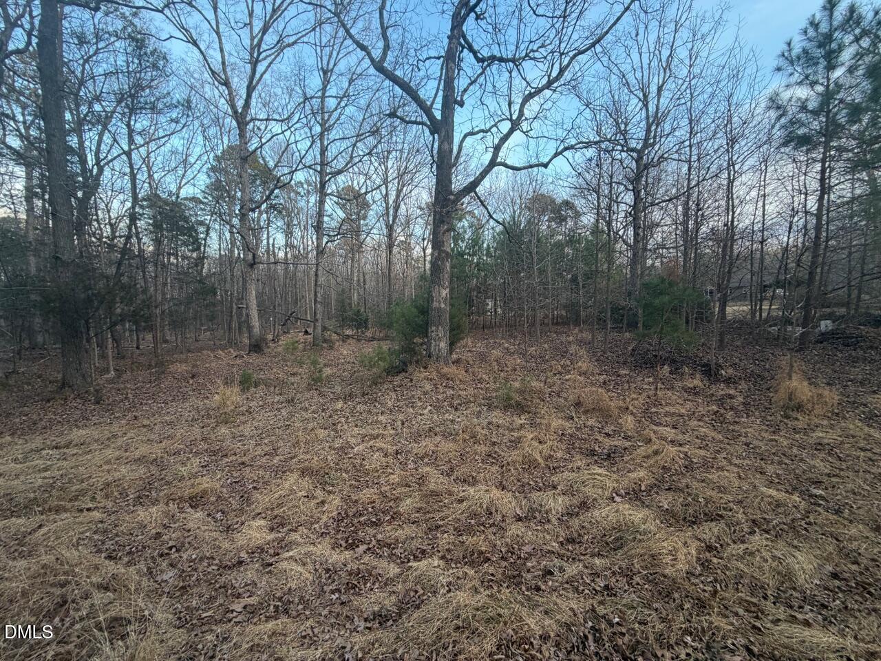 605 Snow Hill Road Durham, NC 27712 - Photo 2 of 5 IMG_0512