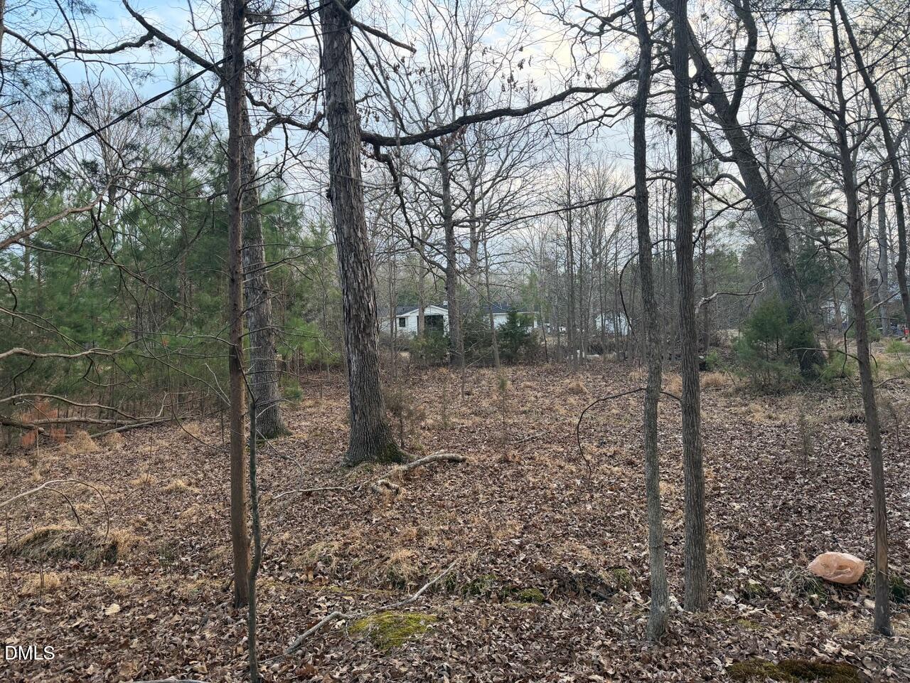 605 Snow Hill Road Durham, NC 27712 - Photo 3 of 5 IMG_0517