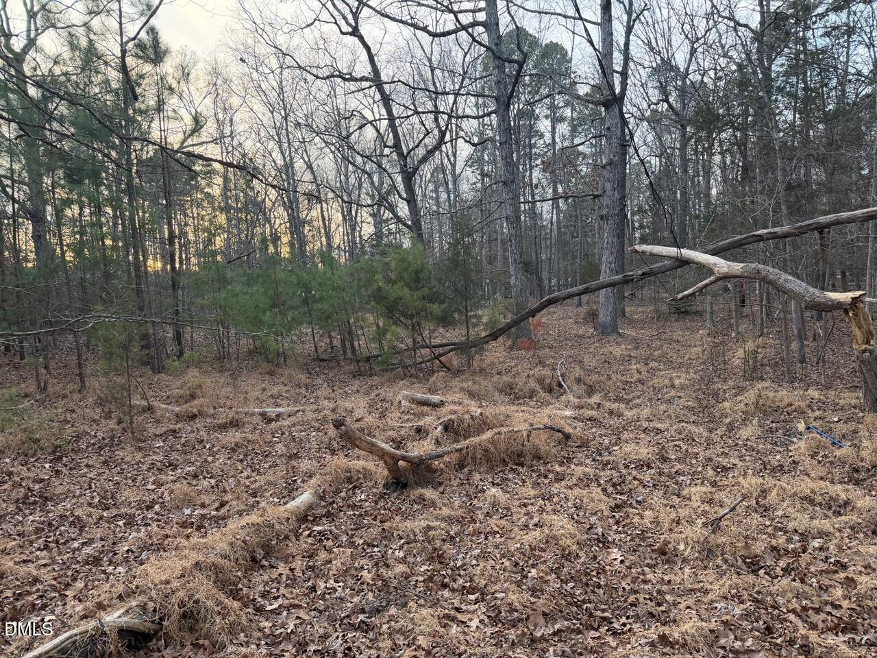 605 Snow Hill Road Durham, NC 27712 - Photo 4 of 5 IMG_0521