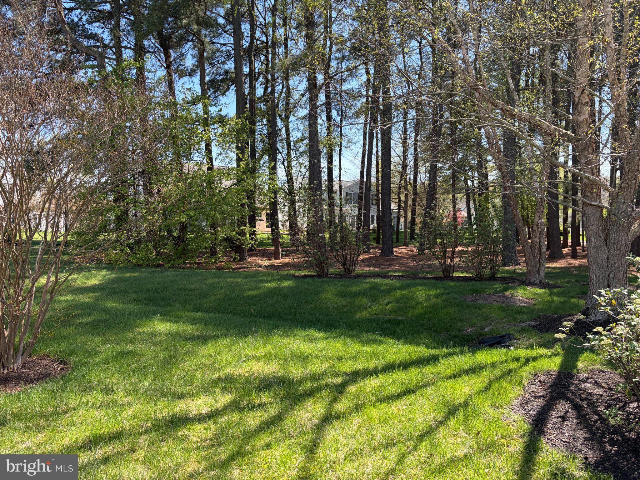 29679 Janets Way Easton, MD 21601 - Photo 3 of 23 a view of park