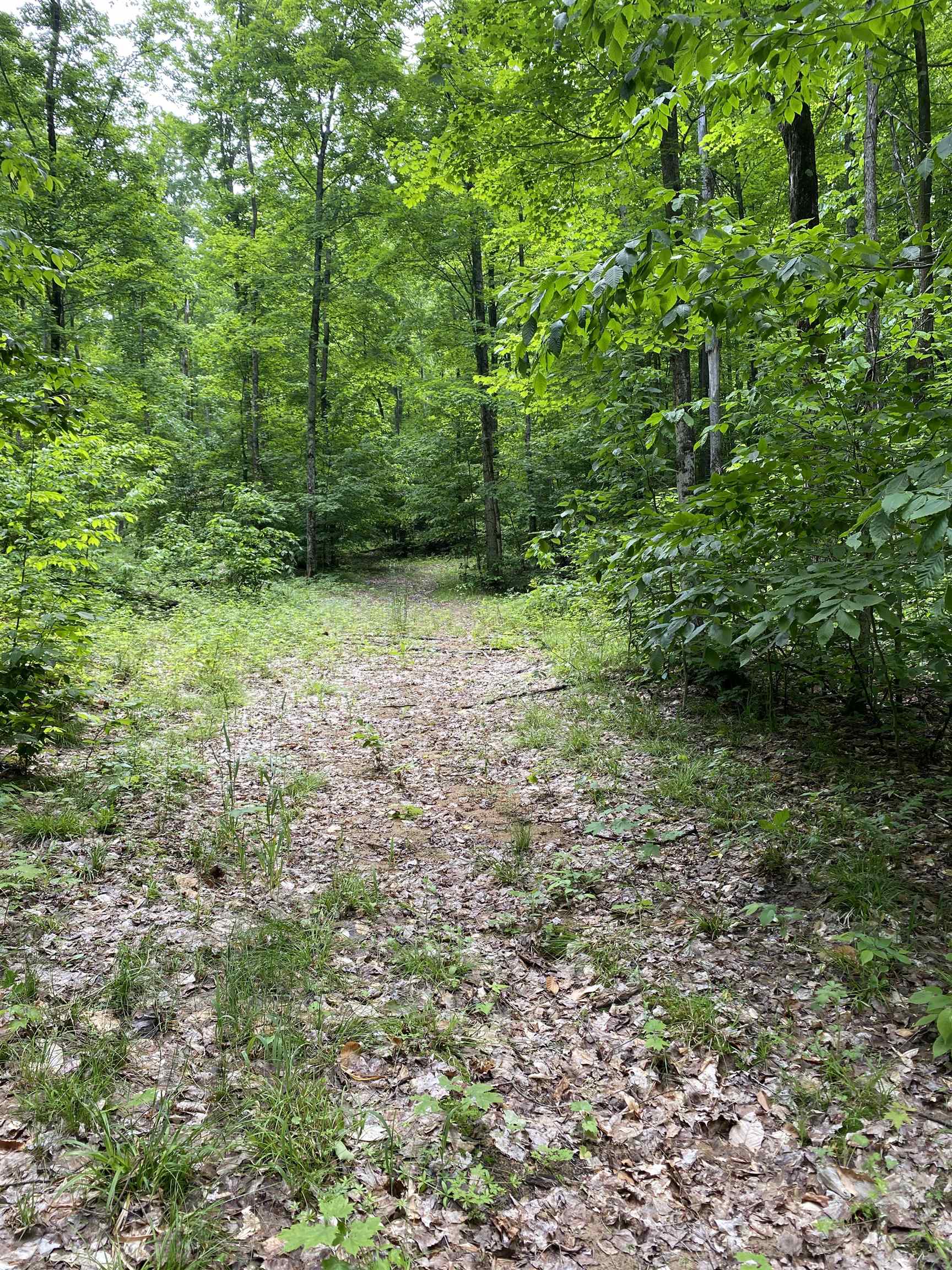 3 Stark Road, Unit LOT: 3 Mancelona, MI 49659 - Photo 11 of 26